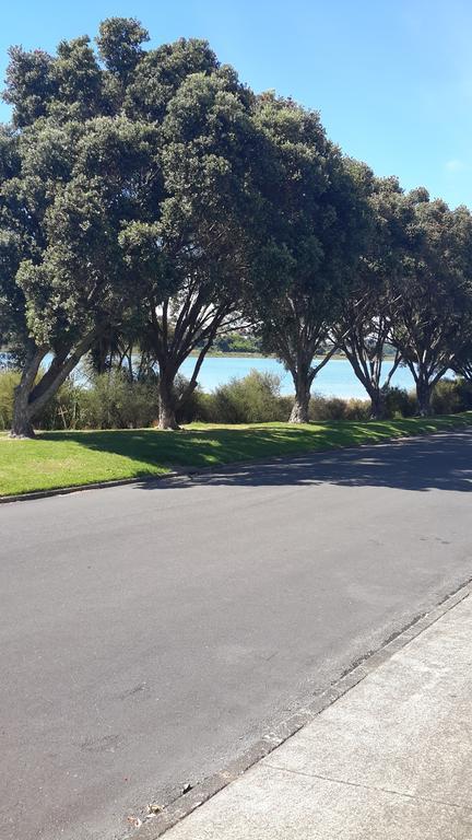 Pukeko On Bay Lägenhet Tauranga Exteriör bild